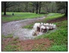 Illicit Discharge example